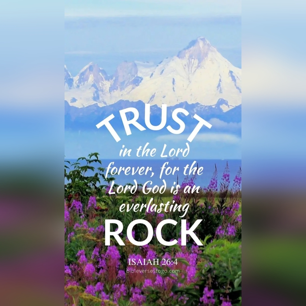 AlaskaCouture's ⚜️LIVE SHOW⚜️ Listing ☆♡LIKE TO BE NOTIFIED♡☆ - Picture 5 of 11